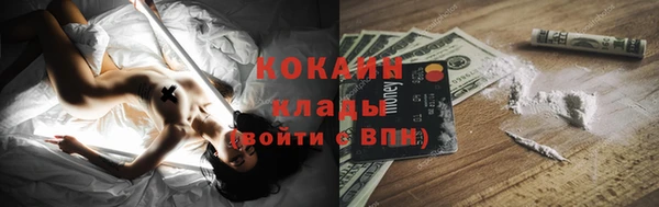 ПСИЛОЦИБИНОВЫЕ ГРИБЫ Пестово