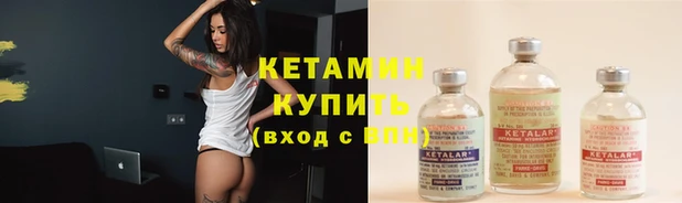 шишки Покачи