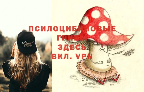 ПСИЛОЦИБИНОВЫЕ ГРИБЫ Переславль-Залесский